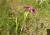 Img.VTax2049.Ex1.Img5