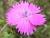 Img.VTax2049.Ex1.Img6