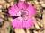 Img.VTax2049.Ex1.Img8