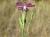 Img.VTax2049.Ex1.Img9