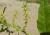 Img.VTax2065.Ex1.Img2