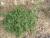 Img.VTax2070.Ex1.Img1