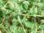 Img.VTax2070.Ex1.Img2
