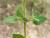 Img.VTax2070.Ex1.Img3