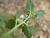 Img.VTax2070.Ex1.Img4