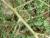 Img.VTax2070.Ex1.Img5