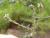 Img.VTax2094.Ex1.Img1