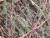 Img.VTax2094.Ex1.Img2