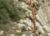 Img.VTax2094.Ex1.Img3