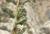 Img.VTax2094.Ex1.Img4