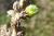 Img.VTax2094.Ex1.Img5