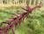 Img.VTax2122.Ex1.Img1
