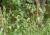 Img.VTax2122.Ex1.Img3