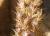 Img.VTax2122.Ex1.Img5