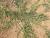 Img.VTax2127.Ex1.Img1