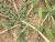 Img.VTax2127.Ex1.Img2