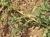 Img.VTax2127.Ex1.Img3