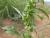 Img.VTax2127.Ex1.Img5