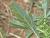 Img.VTax2127.Ex1.Img7