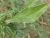 Img.VTax2127.Ex1.Img8