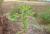 Img.VTax2127.Ex2.Img1