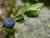 Img.VTax2152.Ex4.Img1