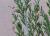 Img.VTax2155.Ex2.Img2