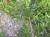 Img.VTax2158.Ex2.Img3