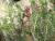 Img.VTax2158.Ex2.Img4