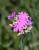 Img.VTax2166.Ex2.Img1