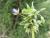 Img.VTax2197.Ex1.Img1