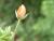 Img.VTax2197.Ex1.Img3
