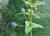 Img.VTax2197.Ex1.Img5