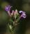 Img.VTax2201.Ex1.Img1