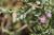 Img.VTax2201.Ex1.Img2