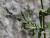 Img.VTax2201.Ex1.Img3