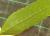 Img.VTax2237.Ex1.Img1