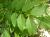 Img.VTax2237.Ex1.Img2
