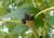 Img.VTax2237.Ex1.Img3
