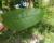 Img.VTax2237.Ex1.Img5