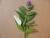Img.VTax2252.Ex1.Img1
