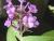 Img.VTax2252.Ex1.Img3