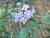 Img.VTax2252.Ex1.Img5