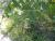 Img.VTax2252.Ex1.Img6