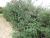 Img.VTax2252.Ex1.Img7