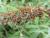 Img.VTax2252.Ex1.Img8