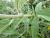 Img.VTax2252.Ex1.Img9