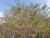 Img.VTax2252.Ex2.Img1