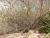 Img.VTax2252.Ex2.Img2
