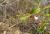 Img.VTax2252.Ex2.Img3